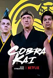 Cobra Kai Filmy4WEB Season 6 Hindi Dubbed NF